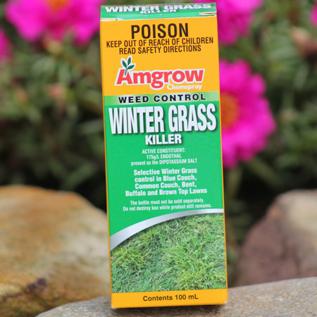 Amgrow-Weed-Control-Winter-Grass-Killer-100ml