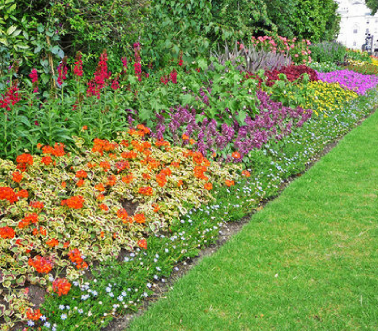 Keeping Over-Friendly Lawn Out Of Your Garden Bed