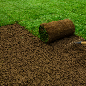 Laying down the new rolls of lawn