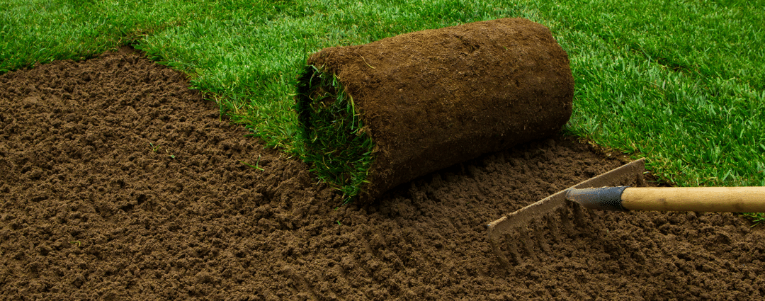 It All Starts at The Roots: Preparing Soil for New Turf