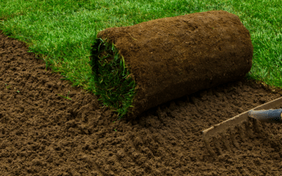 It All Starts at The Roots: Preparing Soil for New Turf