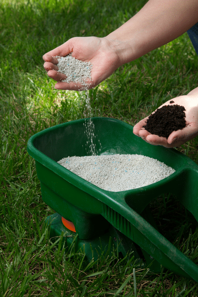 Avoid fertiliser lawn burn 