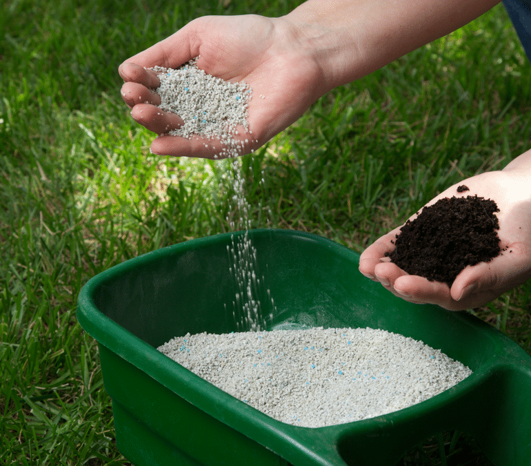 How to Avoid Over Fertilising Lawn