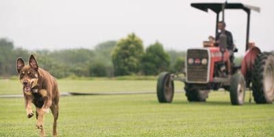 Protected: What Buy Turf Online Can Do for You