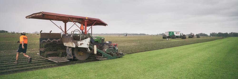 new practices for turf in australia