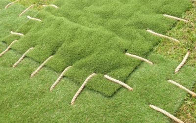 It’s Time for You to Fix Those Bare Patches in Your Lawn