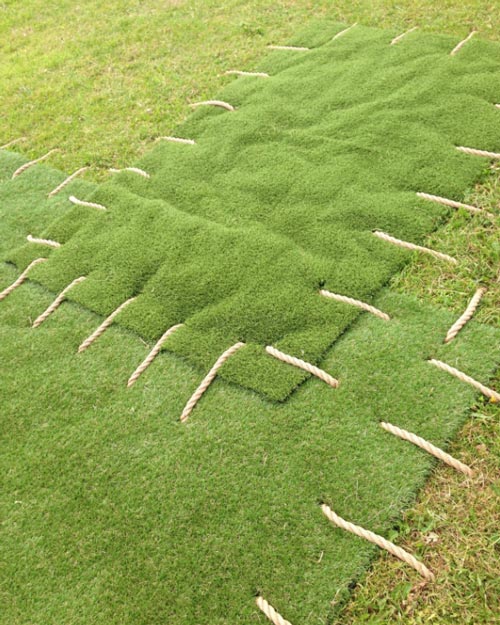 patch up your lawn