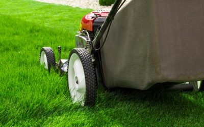 Why You Should Be Regularly Mowing Your Lawn