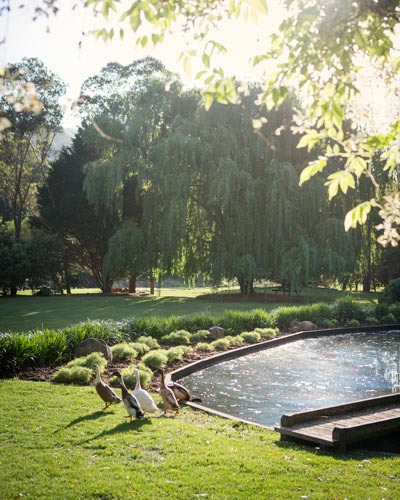 Getting Your Lawn in Shape After Summer