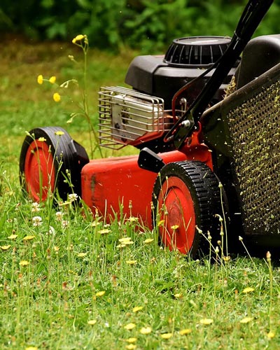 Mowing as Weed Control