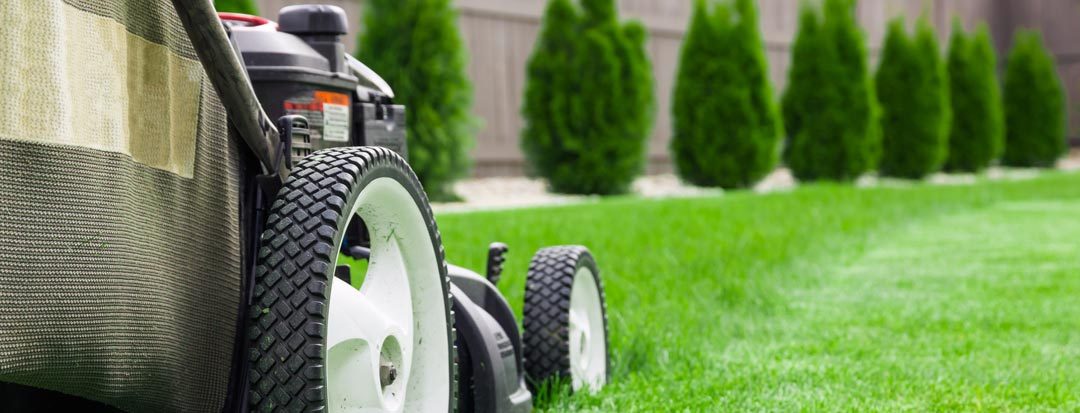 Is Mowing an Effective Weed Control Method?