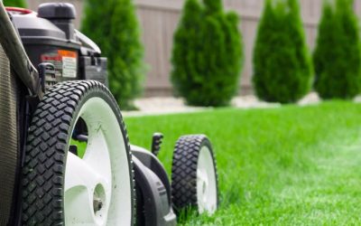 Is Mowing an Effective Weed Control Method?