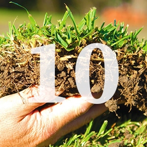 Top Ten Lawn Care Tips