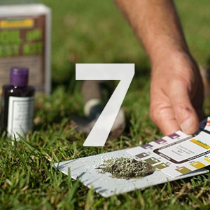 Lawn Care tip 7