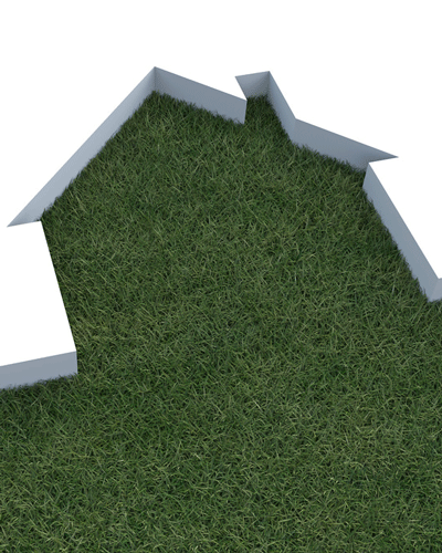 healthy turf to improve home value