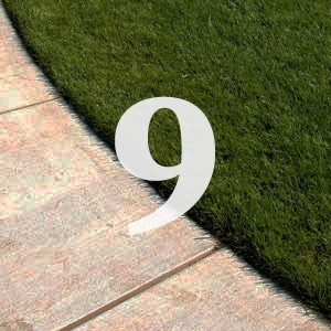 Lawn Care tip 9