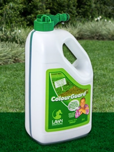 Colour Guard Buy Turf Online