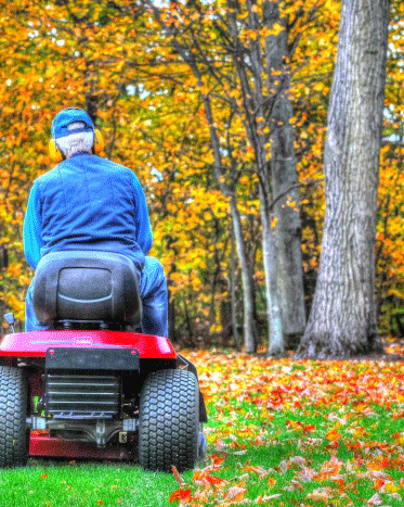 Uses for autumn leaves