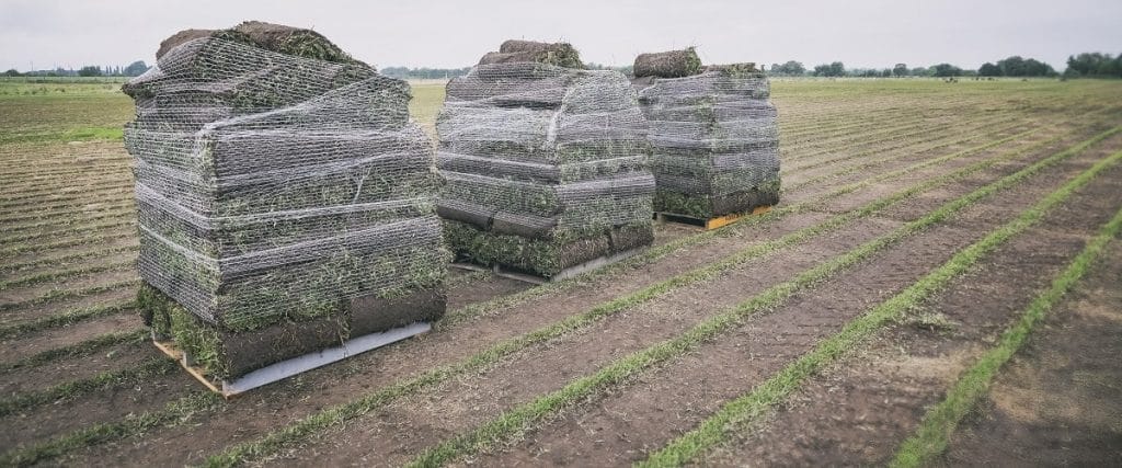 Turf Cut and Loaded onto Pallets Ready for Delivery - Newcastle