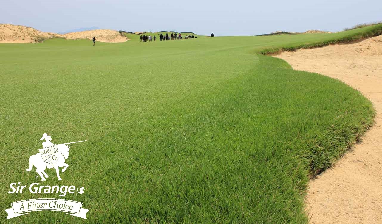 Hoiana Shores Golf Course - Sir Grange Zoysia fairways