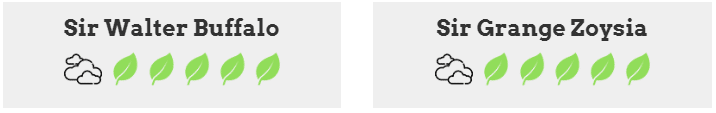 Shade tolerance comparison between Sir Grange & Sir Walter