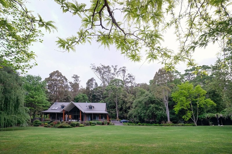 Soft green grass for your Illawarra Home