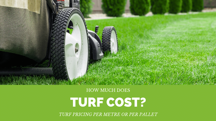 How much does a lawn mower cost?