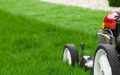 Bring Your Lawn Back to Life with Spring Lawn Care