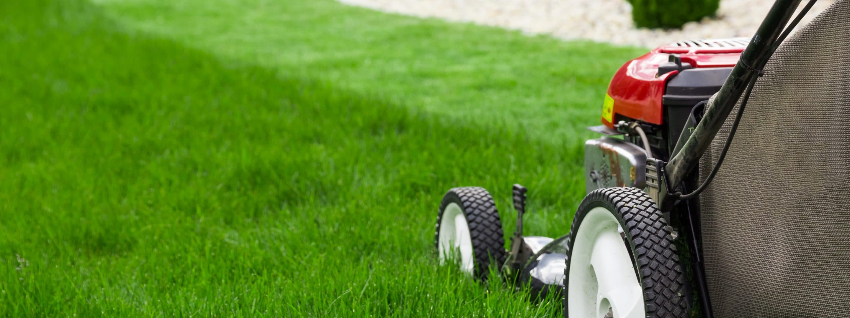 spring lawn care - mowing practices