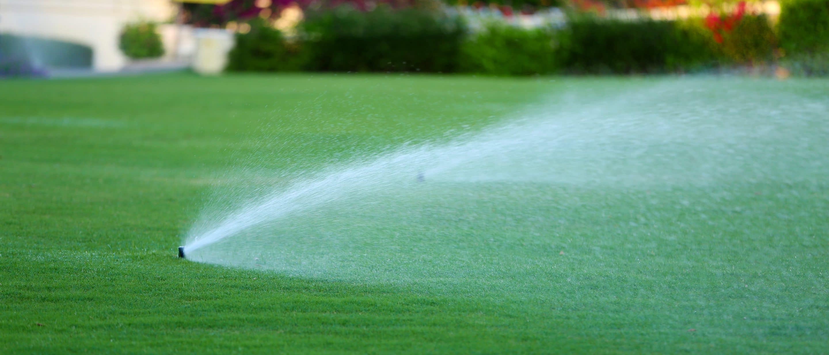 Watering in lawn fertiliser