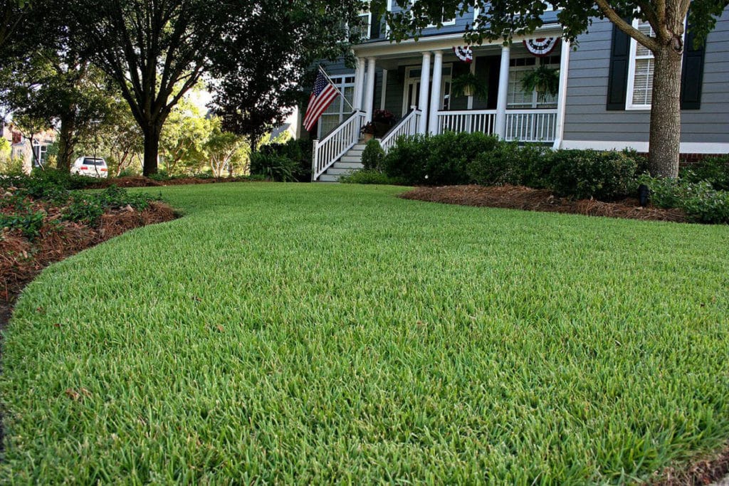 Empire Zoysia Turf Comparison