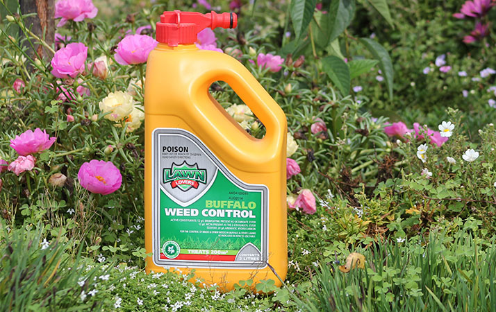 Best grass deals and weed killer