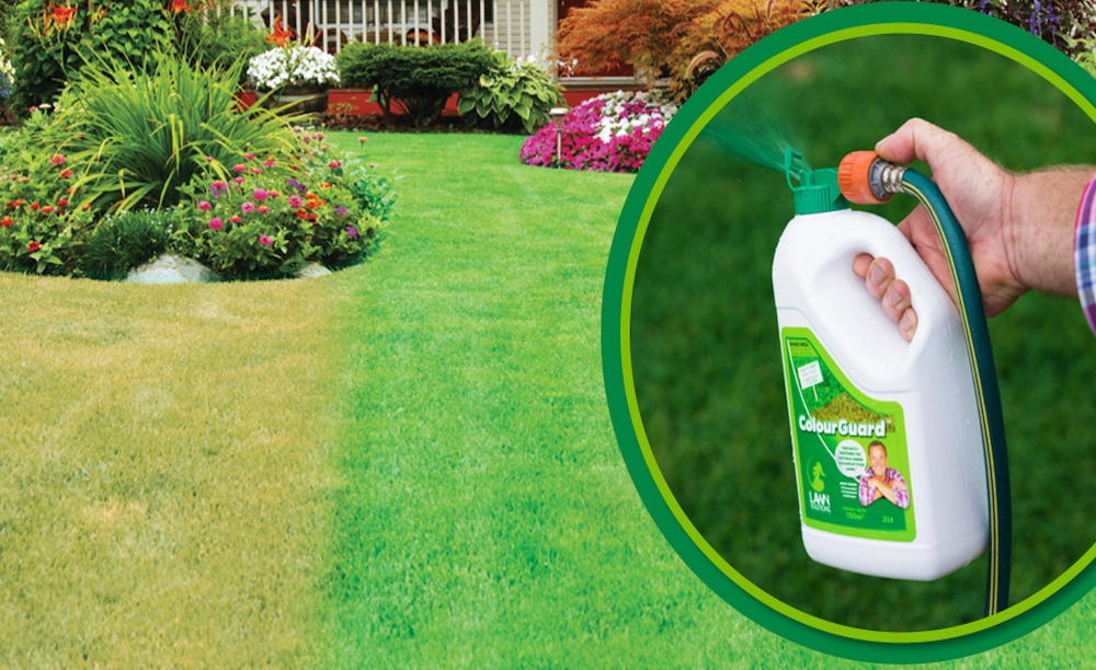 ColourGuard will keep your lawn looking perfectly green