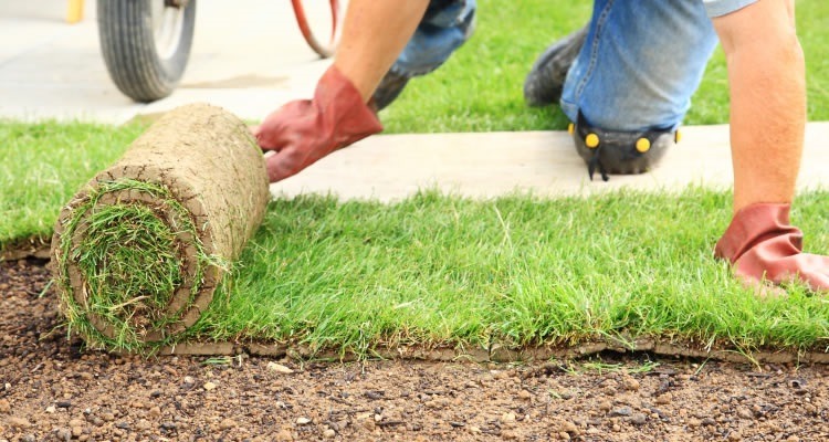 Turf Installation & Laying with Buy Turf Online