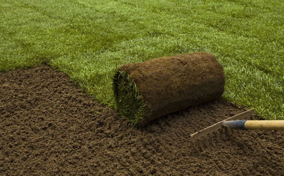 Preparation for your new lawn
