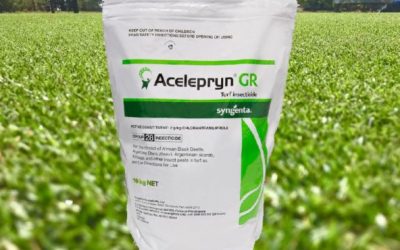 How to Use Acelepryn GR – The Best Insect Control for Your Lawn