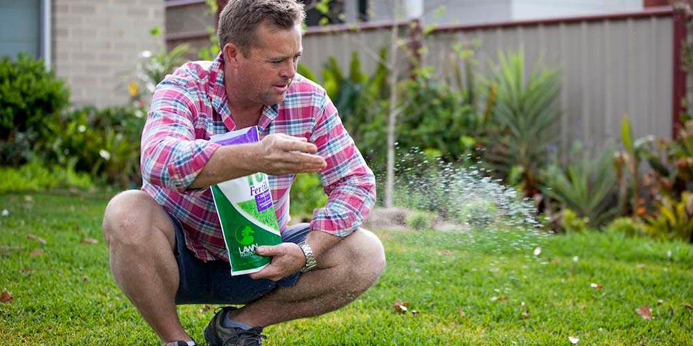 How Do You Fertilise A Lawn?