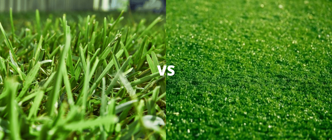 Artificial Grass vs Real Grass