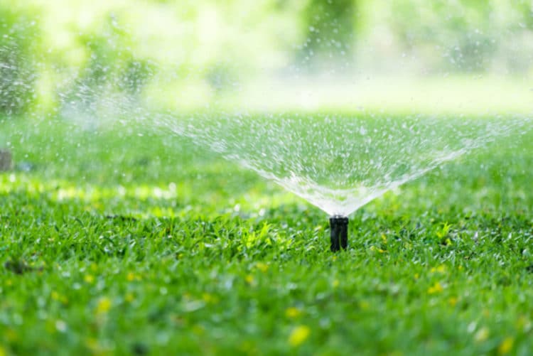 Sprinkler System on Grass