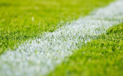 Score the Best Sports Field Turf Grass