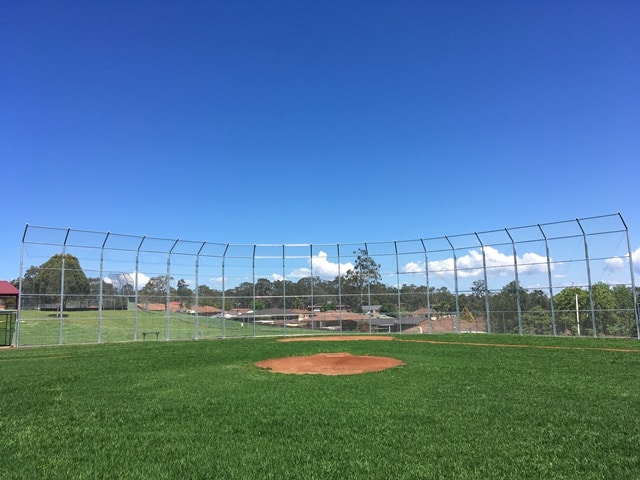 Baseball pitch showing turf