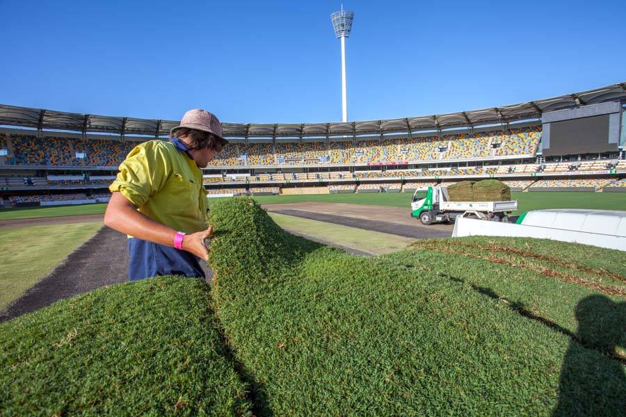 Re-laying turf at the GABBA with TifTuf Tur