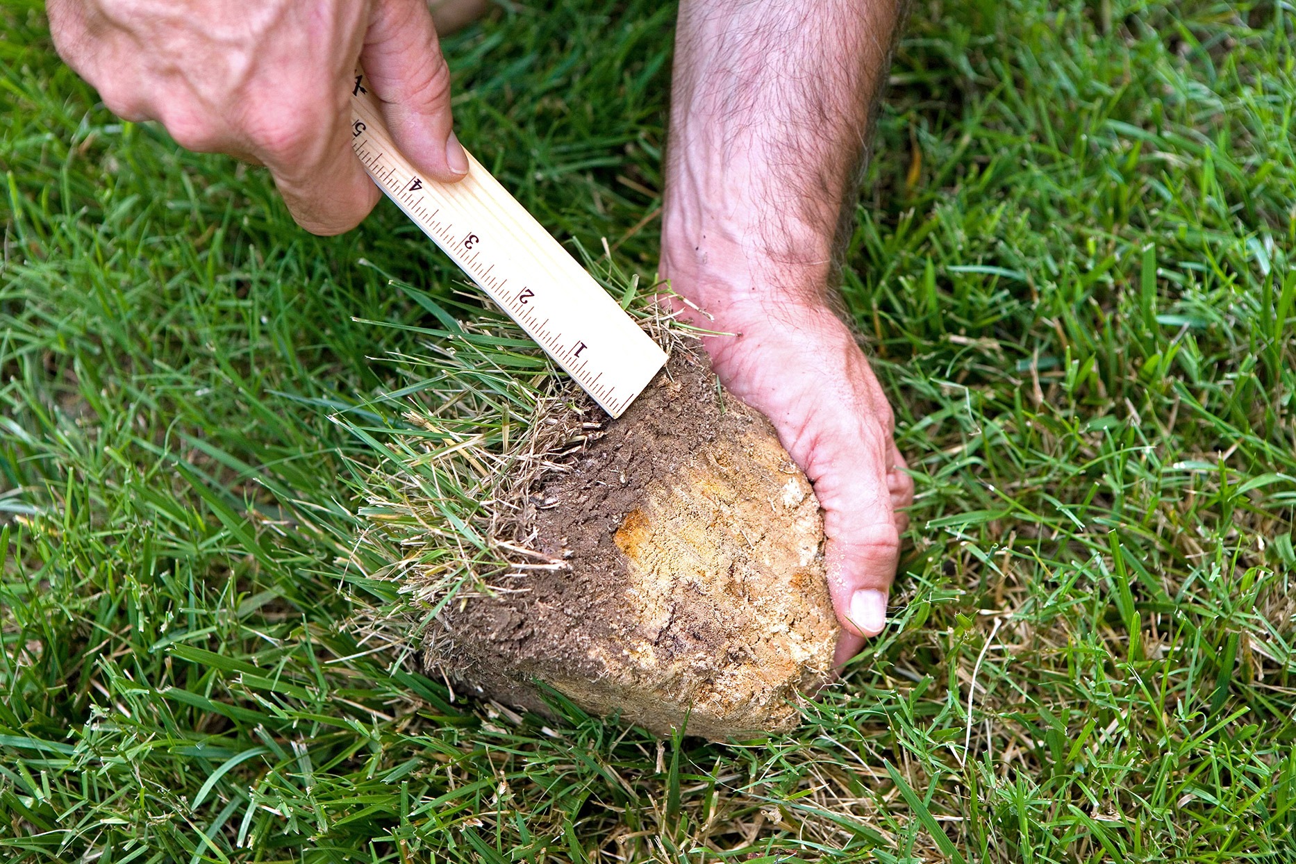 What Is Thatch And Why You Need To Dethatch Buy Turf Online thatched-roof-bungalow-cottage-garden-english-cottage-cottage