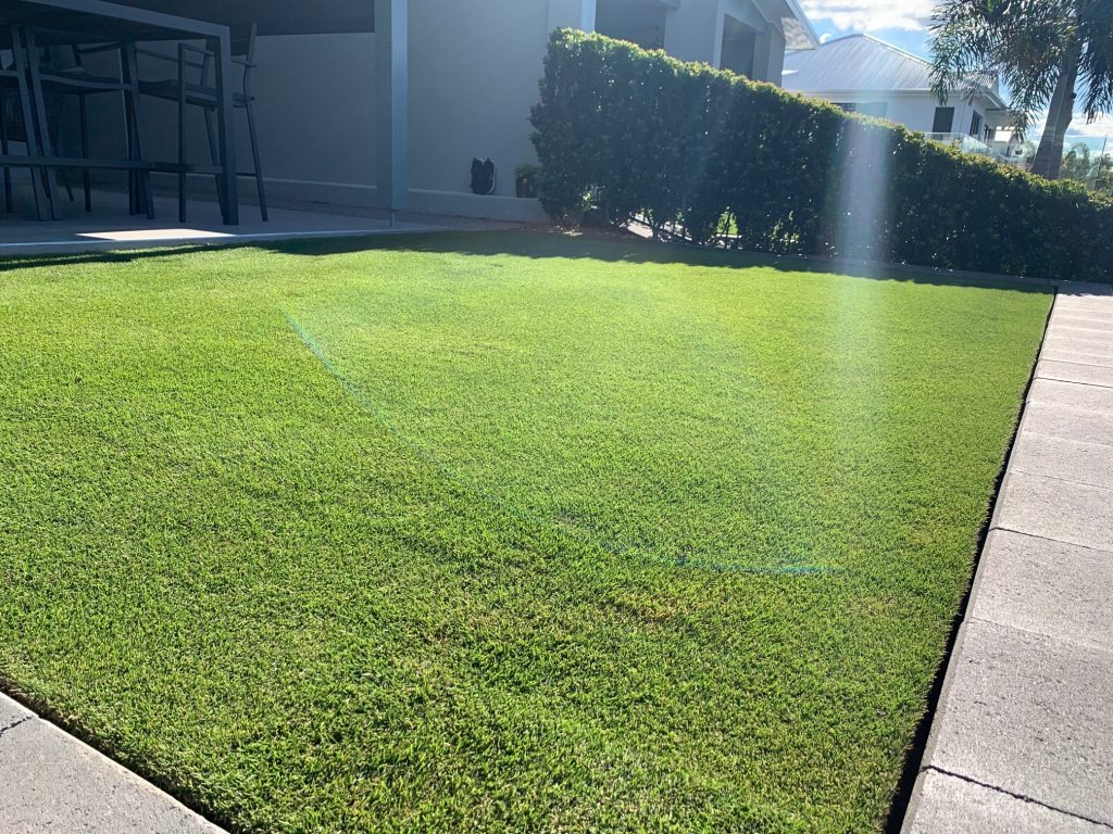 Exceed Liquid Lawn Fertiliser - Lawn Solutions Australia