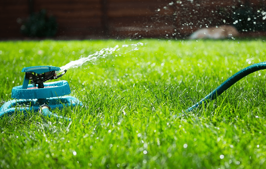 Your Turf Will Require Loads of Water in Summer To Stay Green & Healthy