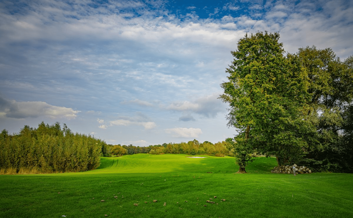 Best Types of Turf For Golf Course