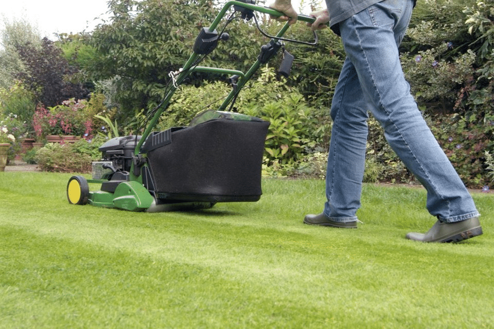 Mowing Your Lawn