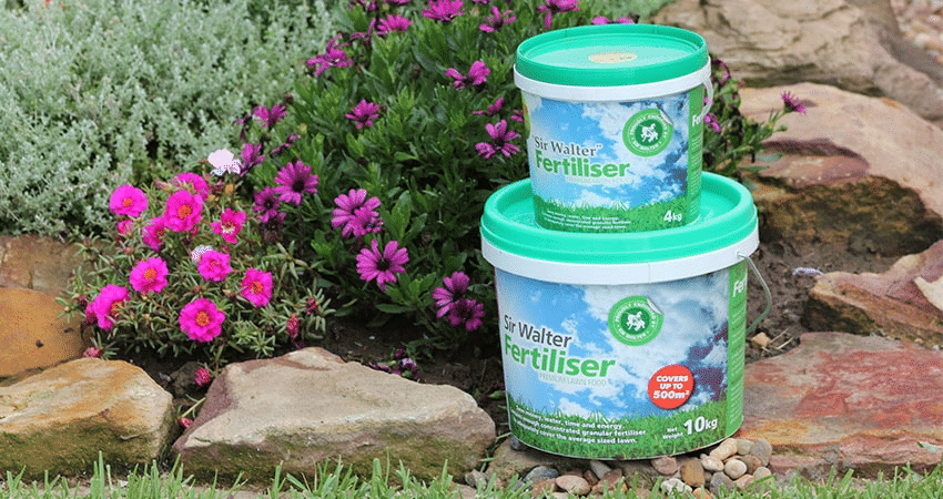 Sir Walter Fertiliser For Golf Courses