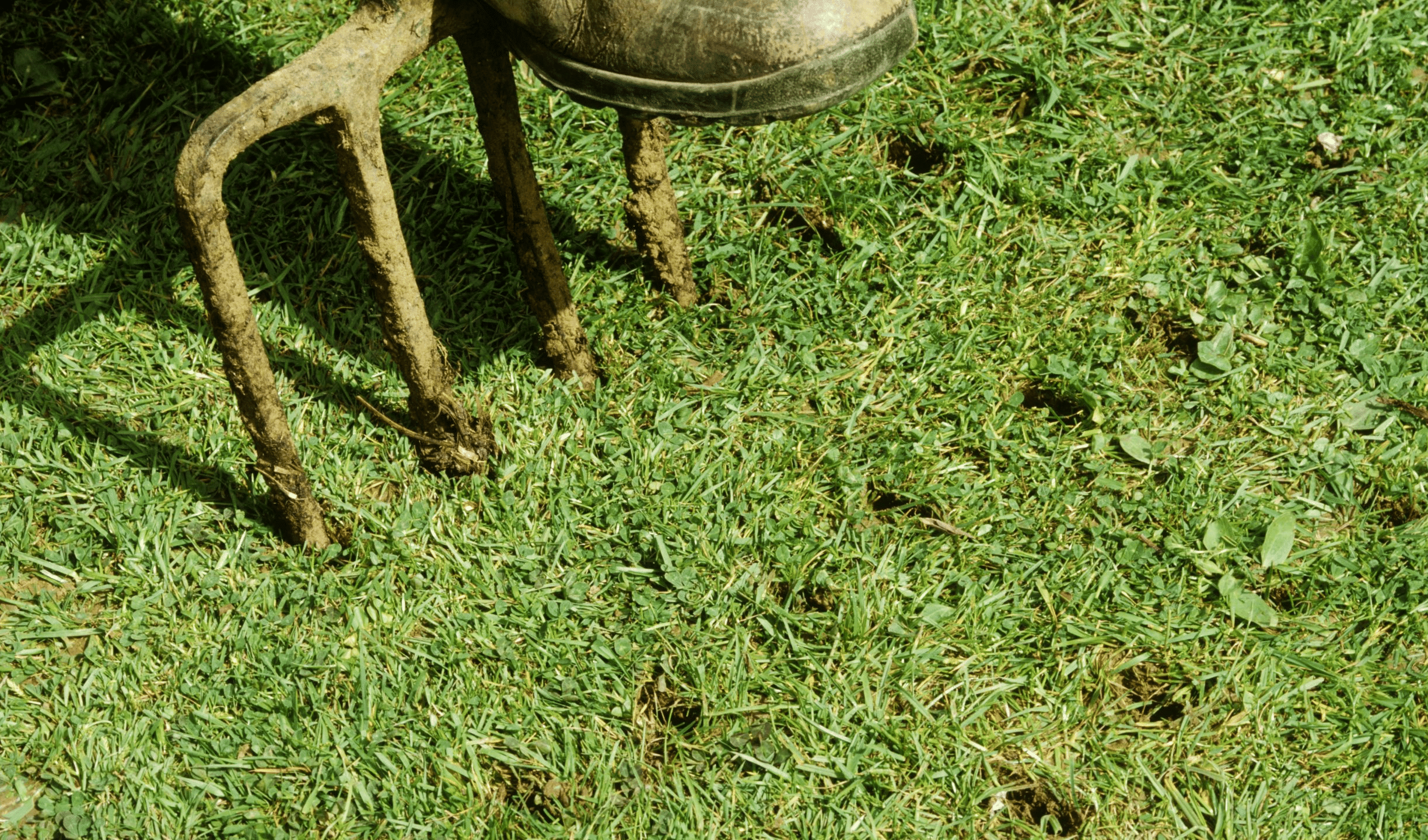 Aerating the Soil