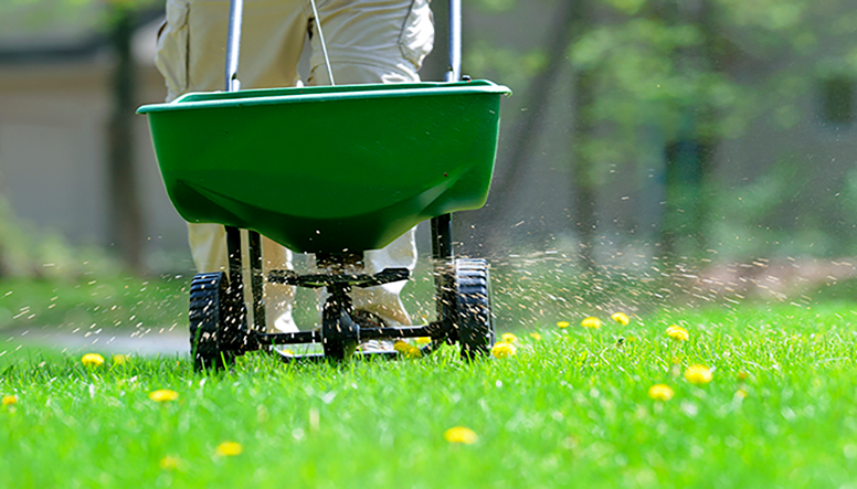 Stimulating Your Lawn With Fertilisers